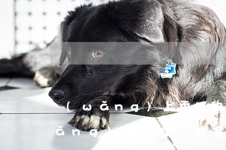 網(wǎng)上委托的律師靠譜嗎(網(wǎng)上找律師打官司可靠嗎)