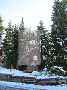 網(wǎng)上小額貸款多個逾期(小額貸逾期4年了)