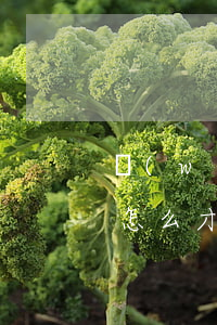 網(wǎng)上平臺(tái)被騙的錢怎么才能追回來(lái)(網(wǎng)上被騙的錢怎么樣才能追回來(lái))