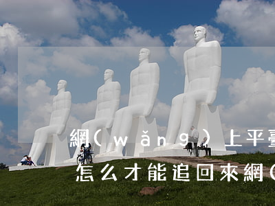網(wǎng)上平臺(tái)被騙的錢怎么才能追回來(網(wǎng)上被騙怎么把錢追回)