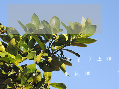 網(wǎng)上律師事務所停息掛賬是真的嗎-委托律師網(wǎng)貸停息掛賬多少錢