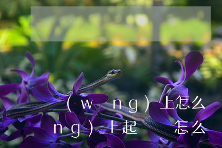 網(wǎng)上怎么寫訴狀提交(網(wǎng)上起訴狀怎么簽字)