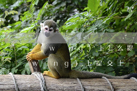 網(wǎng)上怎么提交上訴狀(可以網(wǎng)上提交上訴資料嗎)