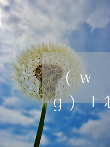 網(wǎng)上怎么提起訴訟(網(wǎng)上怎么提起訴訟)