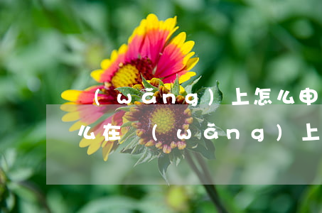 網(wǎng)上怎么申請欠錢怎么起訴(怎么在網(wǎng)上起訴欠錢不還的人)