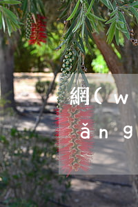 網(wǎng)上怎么申請法律援助(網(wǎng)上怎么申請法律援助)
