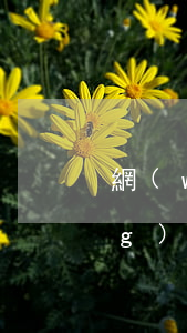 網(wǎng)上怎么訴訟立案(網(wǎng)上怎么起訴立案)