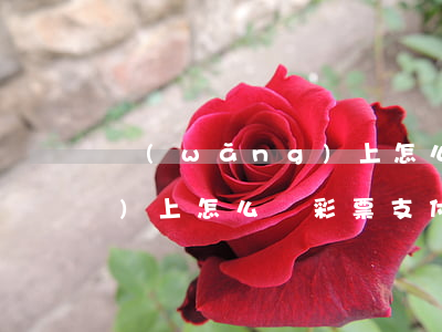 網(wǎng)上怎么買彩票(網(wǎng)上怎么買彩票支付寶)