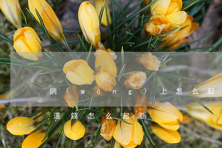 網(wǎng)上怎么起訴欠債的人(欠債不還錢怎么起訴)