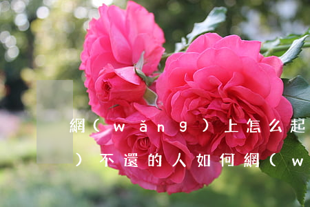 網(wǎng)上怎么起訴欠錢(qián)不還的人(如何網(wǎng)上起訴欠錢(qián)不還的人)