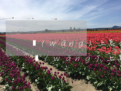 網(wǎng)上怎么起訴欠錢人多久傳喚(網(wǎng)上怎么起訴欠賬人)