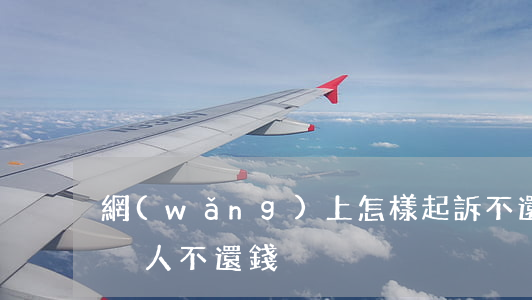 網(wǎng)上怎樣起訴不還錢的人(起訴別人不還錢)