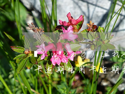 網(wǎng)上找人協(xié)商信用卡逾期(信用卡逾期找人協(xié)商怎么收費)