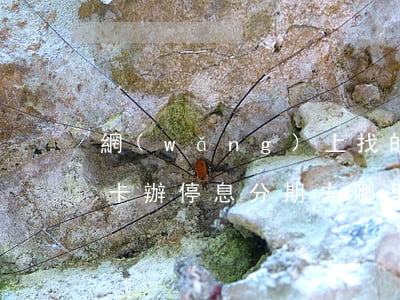 網(wǎng)上找的信用卡停息分期(信用卡辦停息分期去哪里辦)