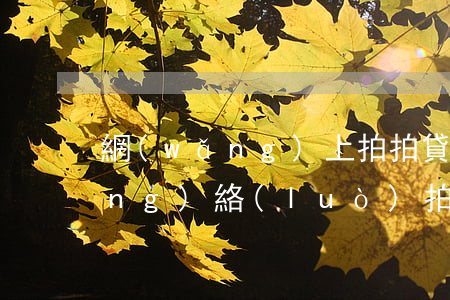 網(wǎng)上拍拍貸款還不起 網(wǎng)絡(luò)拍拍貸借款如果還不上會有什么樣嚴(yán)重后果
