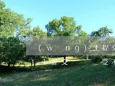 網(wǎng)上提交訴訟書(網(wǎng)上提交訴訟書,受不受節(jié)假日影響)