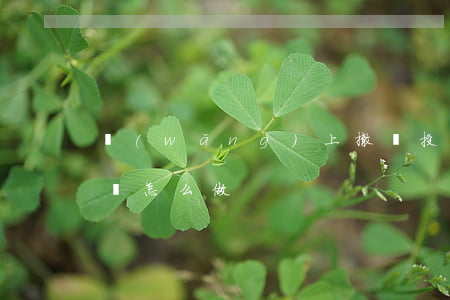 網(wǎng)上撤銷投訴應(yīng)該怎么做