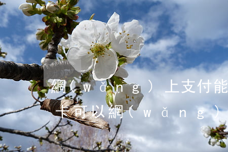 網(wǎng)上支付能透支信用卡嗎(信用卡可以網(wǎng)上透支嗎)