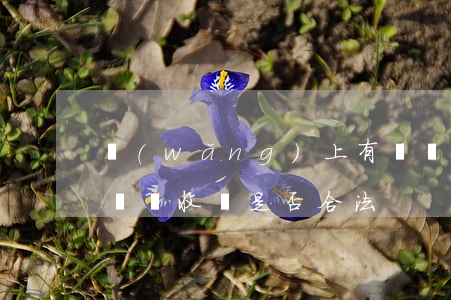 網(wǎng)上有專門代寫訴狀的嗎(代寫訴狀收費是否合法)