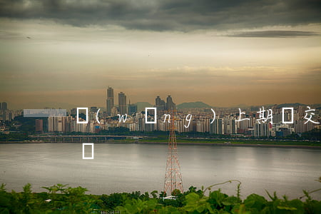 網(wǎng)上期貨交易協(xié)議書