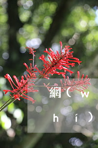 網(wǎng)上查詢征信沒有逾期實(shí)際有逾期-網(wǎng)上查詢征信沒有逾期實(shí)際有逾期怎么辦