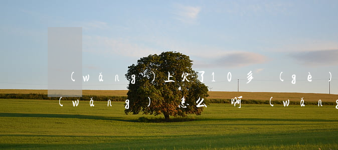 網(wǎng)上欠了10多個(gè)網(wǎng)貸怎么辦啊(網(wǎng)貸欠了10幾萬怎么辦)