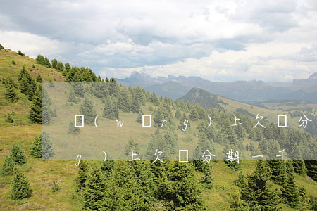 網(wǎng)上欠來分期一千(網(wǎng)上欠來分期一千)