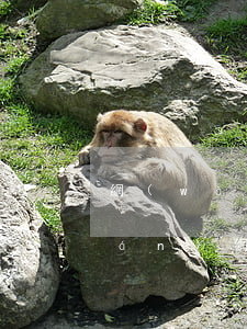 網(wǎng)上欠款起訴流程（欠錢(qián)網(wǎng)上起訴了怎么辦）