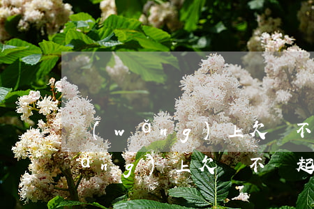 網(wǎng)上欠錢不還起訴流程(網(wǎng)上欠錢不還起訴流程圖)