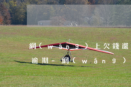 網(wǎng)上欠錢還不上怎么辦信用卡逾期-網(wǎng)上欠錢還不上怎么辦信用卡逾期了