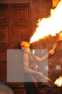 網(wǎng)上申請(qǐng)的信用卡逾期了會(huì)怎么樣-網(wǎng)上申請(qǐng)的信用卡逾期了會(huì)怎么樣是騙局嗎?