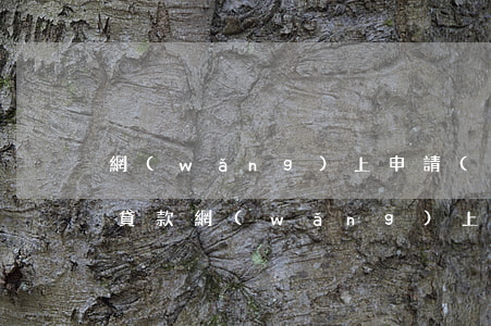 網(wǎng)上申請(qǐng)的銀行貸款(網(wǎng)上申請(qǐng)的銀行貸款上征信是真的么)