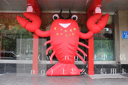 網(wǎng)上申請信用卡秒批 網(wǎng)上怎么辦信用卡秒批
