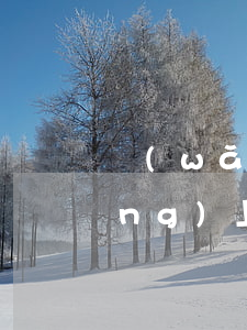 網(wǎng)上發(fā)廣告(網(wǎng)上發(fā)廣告怎么發(fā))