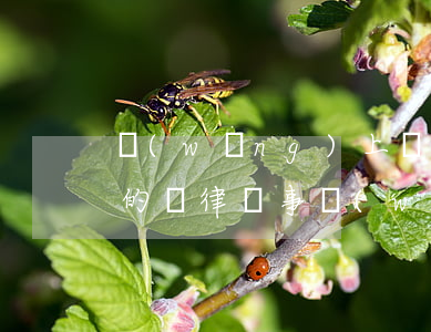網(wǎng)上發(fā)的律師函是真的嗎(律師事務(wù)所寄出來的律師函是真的嗎)