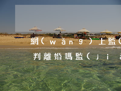 網(wǎng)上監(jiān)獄開庭能判離婚嗎(監(jiān)獄離婚案一般判離嗎)