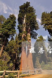 網(wǎng)上租房合同有效嗎(電子版的租房合同在法律上生效么)