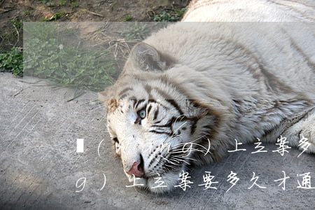 網(wǎng)上立案多久審核(網(wǎng)上立案要多久才通知是否受理)