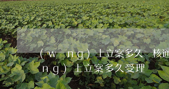 網(wǎng)上立案多久審核通過(網(wǎng)上立案多久受理)