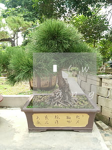 網(wǎng)上立案最快多久通過(網(wǎng)上立案大概多久會有結(jié)果)
