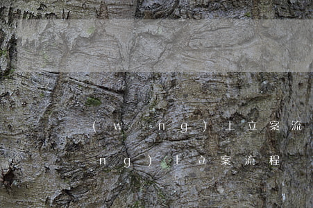 網(wǎng)上立案流程(起訴離婚網(wǎng)上立案流程)