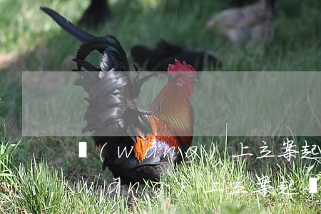 網(wǎng)上立案起訴狀怎么上傳(網(wǎng)上立案起訴狀怎么上傳)