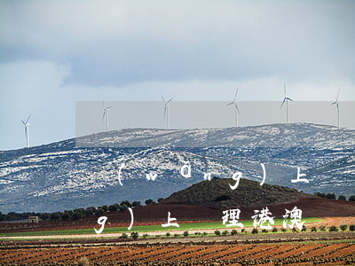 網(wǎng)上簽證 港澳通行(網(wǎng)上辦理港澳簽證)