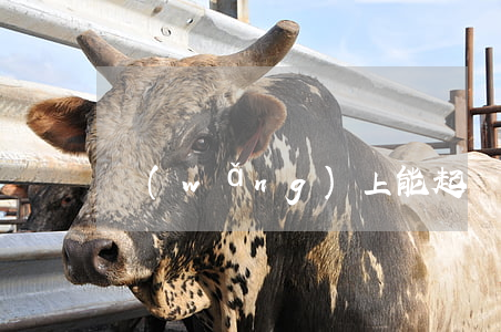 網(wǎng)上能起訴離婚嗎？