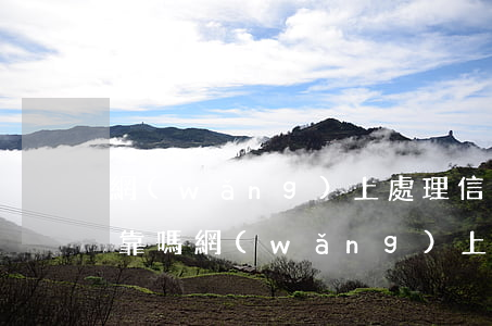 網(wǎng)上處理信用卡逾期的公司可靠嗎 網(wǎng)上處理信用卡逾期的公司可靠嗎?