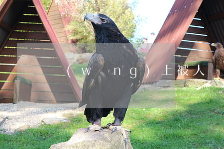 網(wǎng)上被人罵怎么起訴