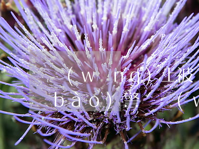 網(wǎng)上被騙了10000能報(bào)警嗎(網(wǎng)上被騙2000可以報(bào)警嗎)