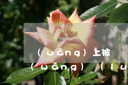 網(wǎng)上被騙請律師需要多少錢(網(wǎng)絡(luò)詐騙請一個律師大約要多少錢)