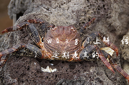 網(wǎng)上解決信用卡網(wǎng)貸逾期是真的嗎-網(wǎng)上解決信用卡網(wǎng)貸逾期是真的嗎嗎