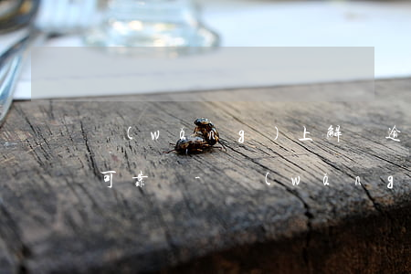 網(wǎng)上解決逾期機構(gòu)可靠嗎-網(wǎng)上解決逾期機構(gòu)可靠嗎安全嗎